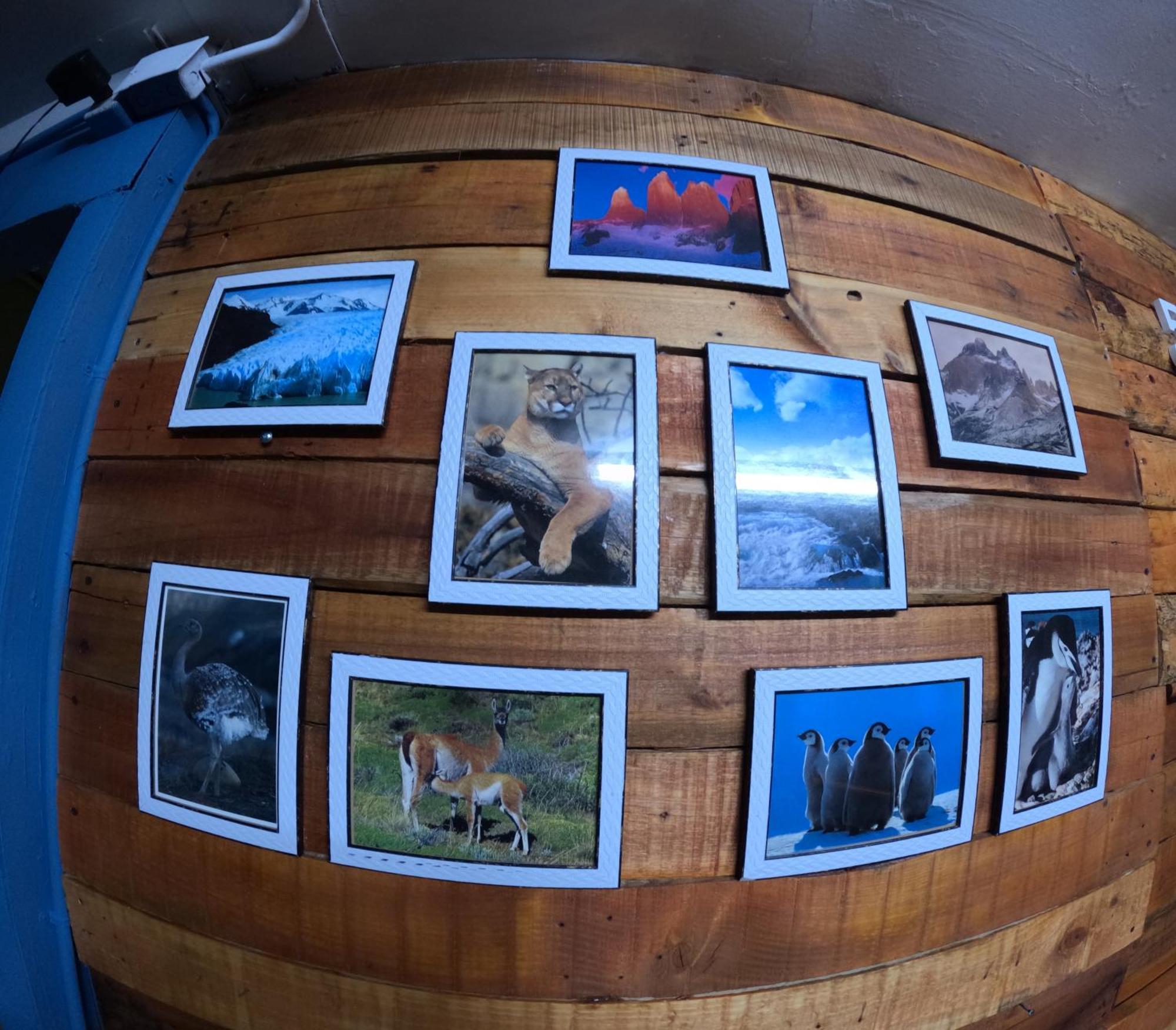 Hostel 53 Sur Puerto Natales Zewnętrze zdjęcie